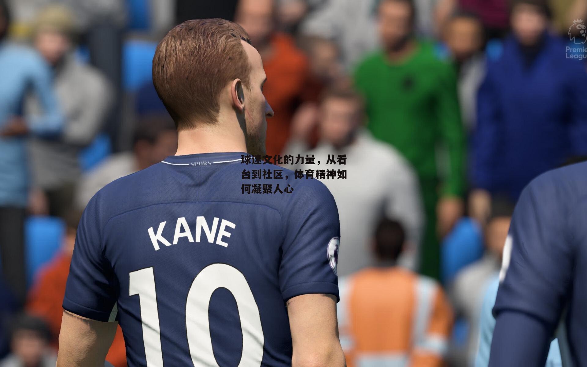 球迷文化的力量,从看台到社区,体育精神如何凝聚人心