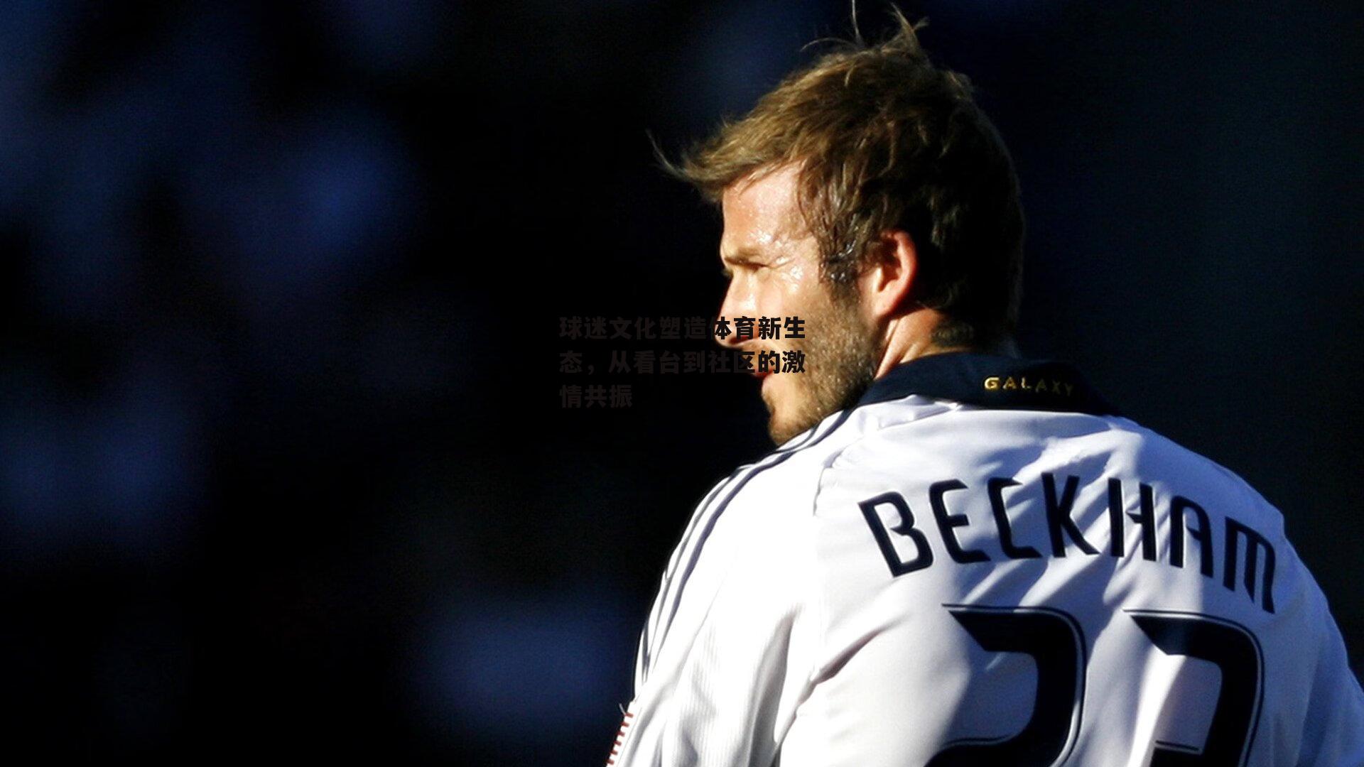 球迷文化塑造体育新生态，从看台到社区的激情共振