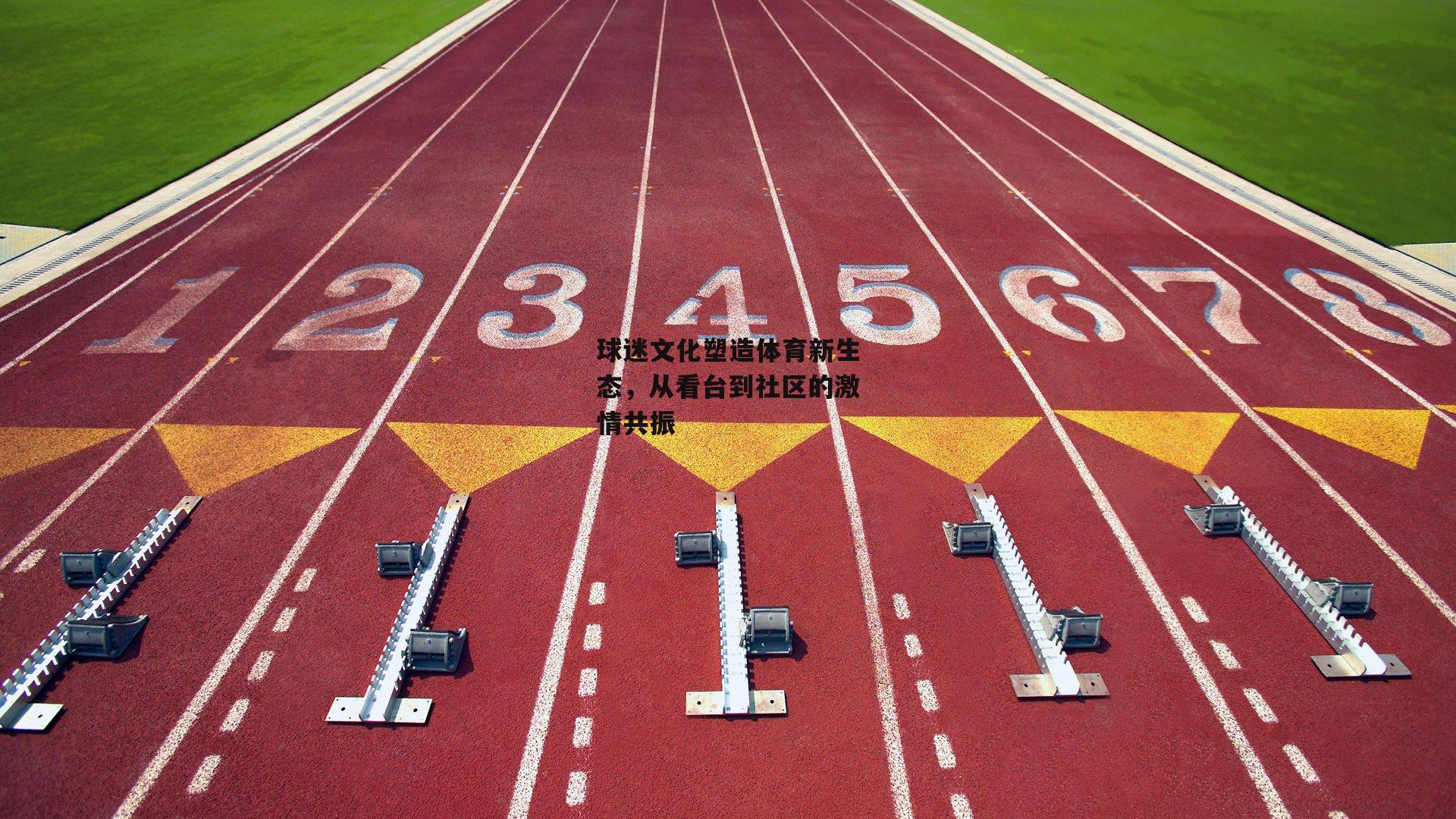 球迷文化塑造体育新生态，从看台到社区的激情共振