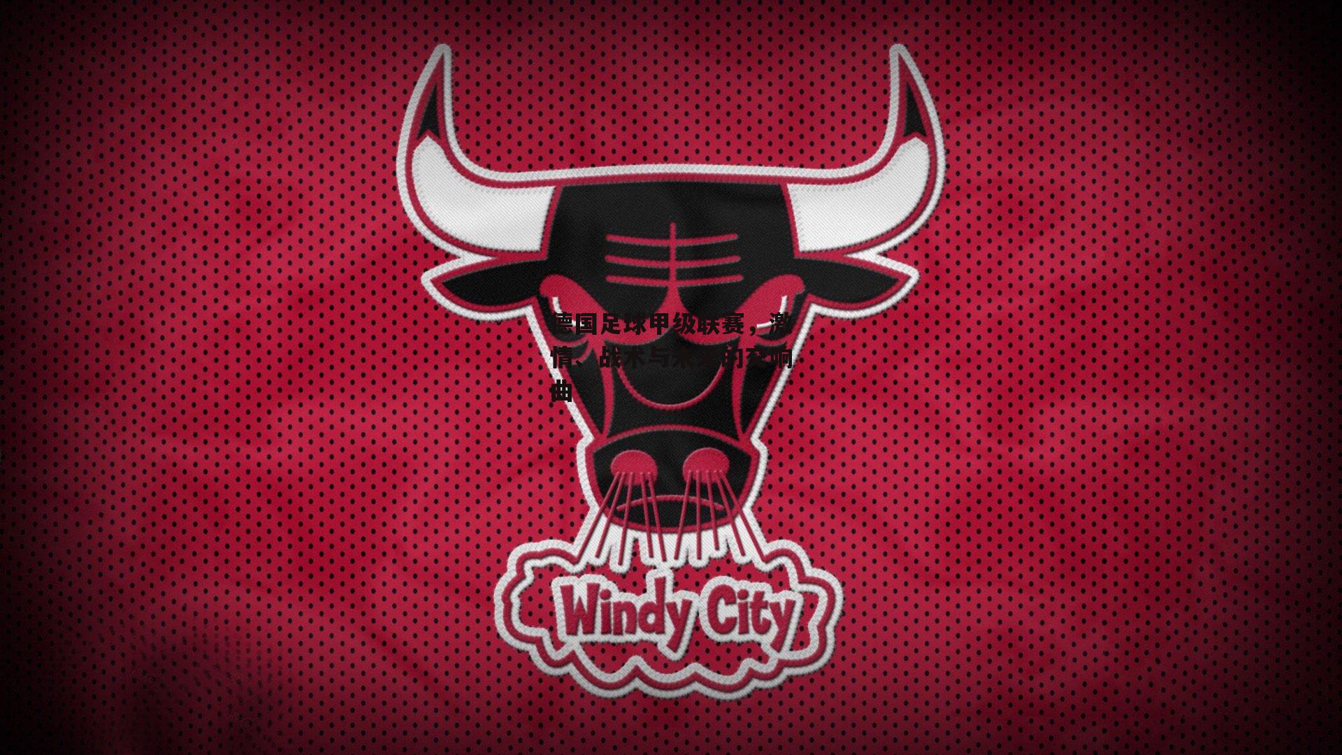 爱游戏体育：德国足球甲级联赛，激情、战术